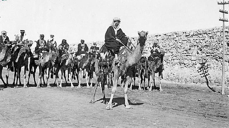 مستكشف بريطاني يبدأ رحلة استكشاف 1300 كيلو متر من صحراء المملكة غداً