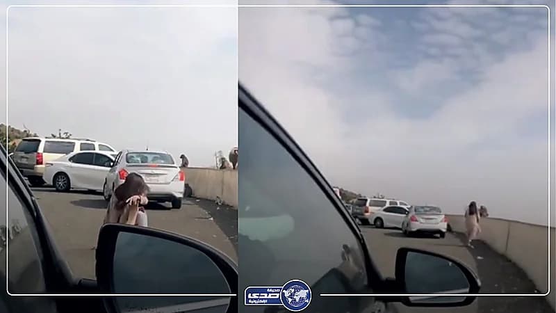 قرد يتسبب بسقوط فتاة في الهدا - فيديو