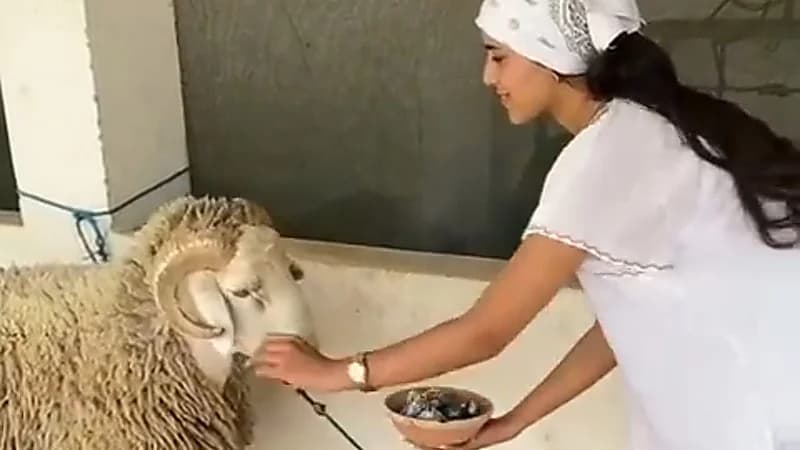 فتاة مغربية تُبخر الخروف قبل التضحية به .. فيديو