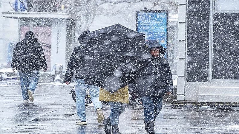 دقائق بيولوجية في الهواء تتحكم بهطول الأمطار وتطور الطقس