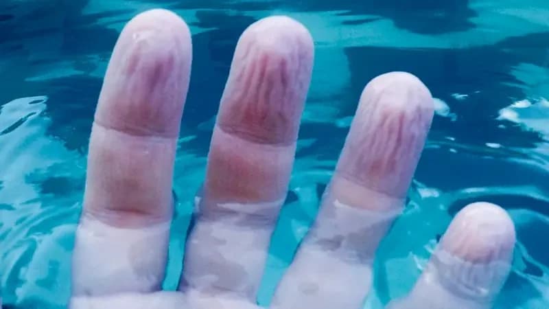 دراسة تكشف السبب الحقيقي وراء تجعد أصابع اليدين والقدمين بعد السباحة