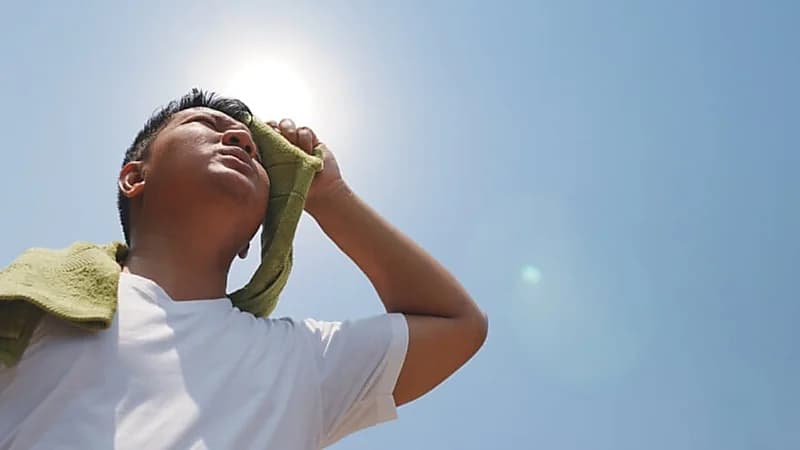 الحر ينهي حياة آلاف الأشخاص سنويًا.. فيديو