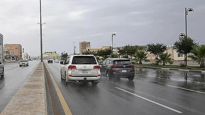 العقيل: أمطار غزيرة على جازان وعسير ومكة حتى الأسبوع المقبل .. فيديو