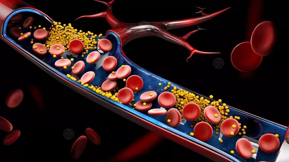 WhatsApp Image 2025-11-14 at 10.55.51 PM.jpeg