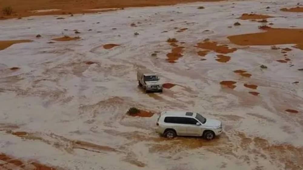 مختص يحذر من مغامرة السيول في حائل بعد حوادث مميتة .. فيديو