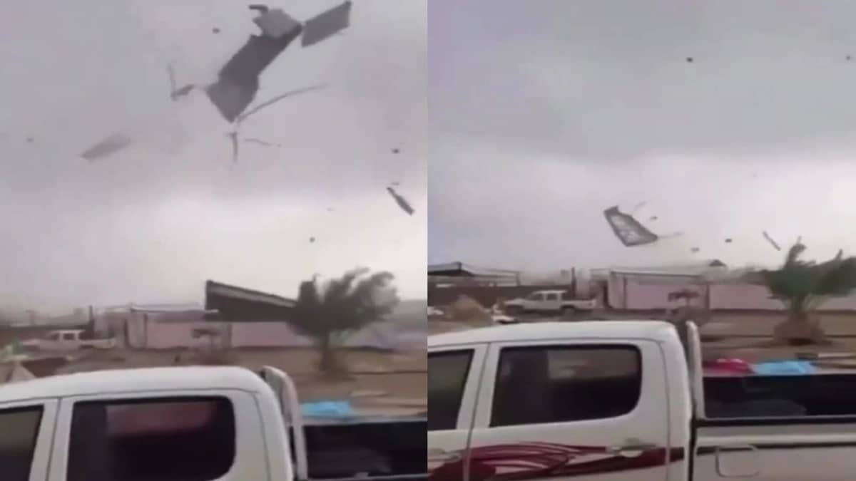 WhatsApp Image 2026-01-24 at 2.01.22 PM.jpeg