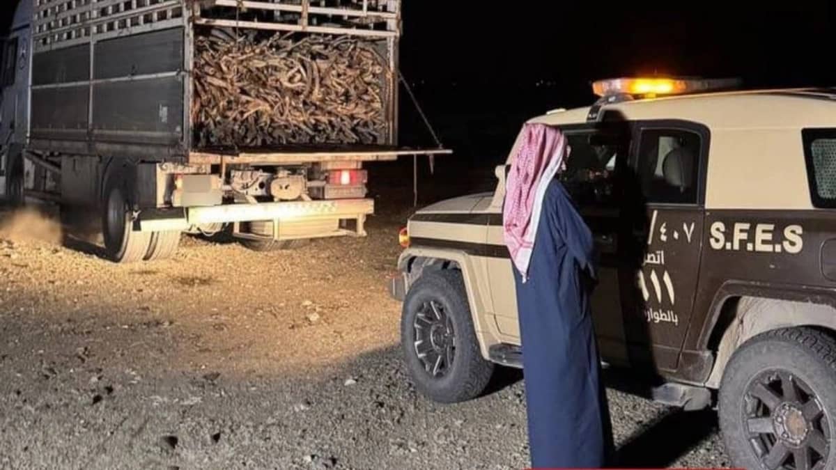 WhatsApp Image 2026-01-24 at 2.12.21 PM.jpeg