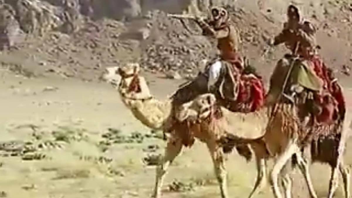 WhatsApp Image 2026-01-28 at 11.41.47 AM.jpeg