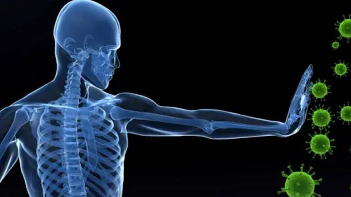 WhatsApp Image 2026-01-28 at 7.20.23 PM.jpeg