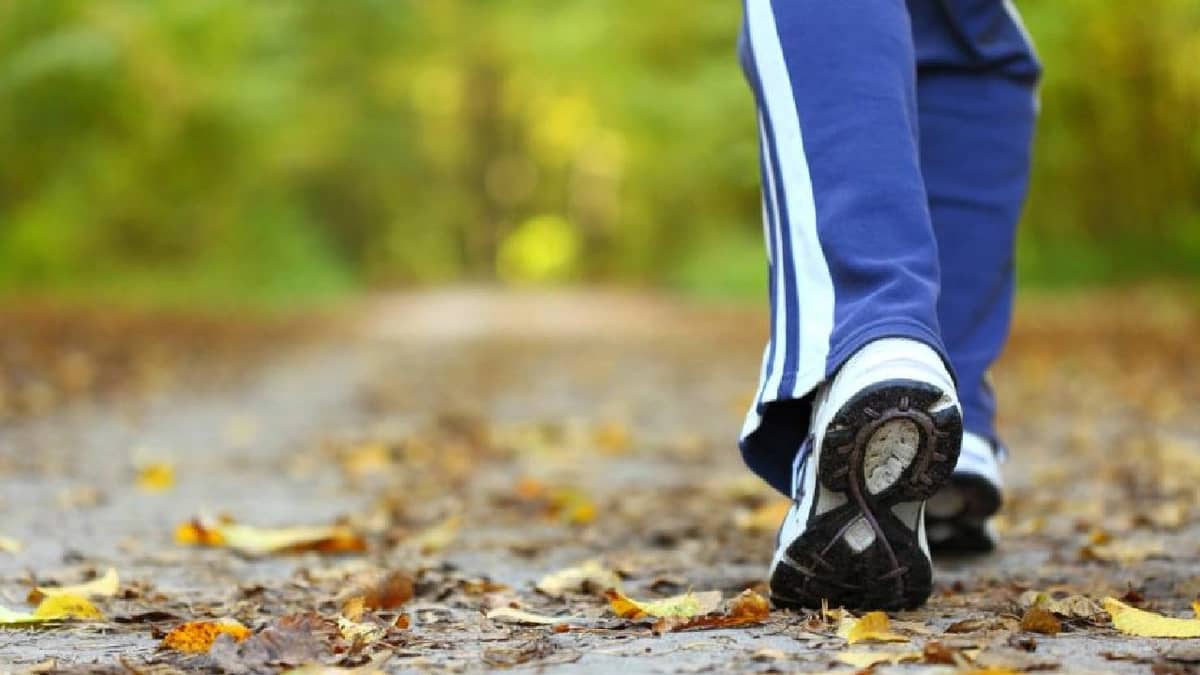 WhatsApp Image 2026-01-28 at 8.49.10 PM (1).jpeg