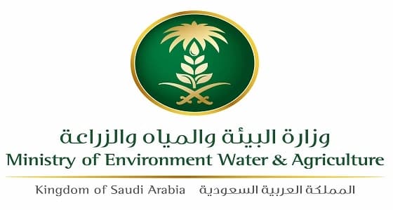 10 ملايين ريال غرامة على 101 مشروع دواجن لاستخدامهم الهرمونات والمضادات