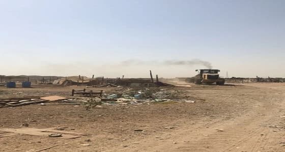 إزالة 311 حظيرة أغنام مخالفة في جدة