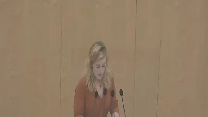 شاهد.. لحظة فقدان نائبة برلمانية نمساوية للوعي فجأة