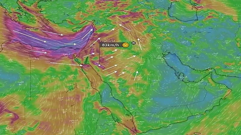 "المسند": رياح نشطة ودافئة مثيرة للغبار على عدة مناطق