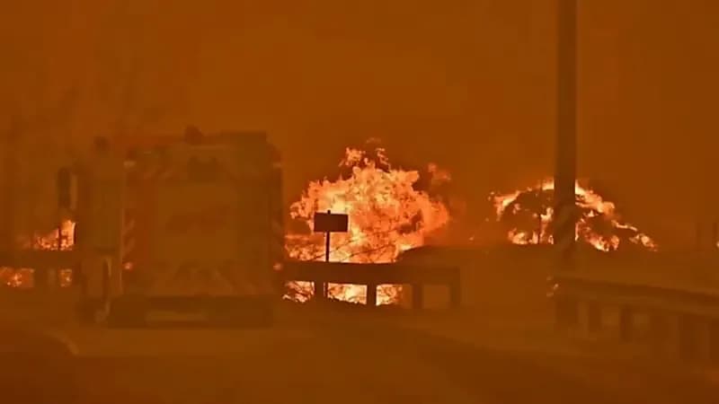 ارتفاع عدد قتلى الحرائق في كوريا الجنوبية