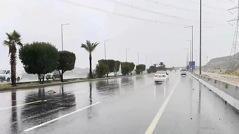 موجة باردة تؤثر على المنطقة الوسطى.. فيديو