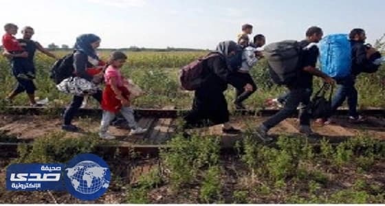 «الأمم المتحدة» تحصل على فتاوى بدعمها بأموال الزكاة لدعم اللاجئين