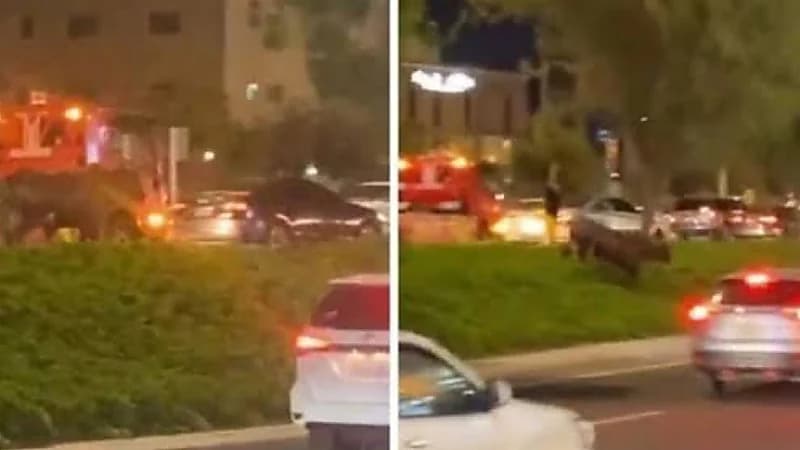 ثور هائج في شوارع المدينة المنورة .. فيديو