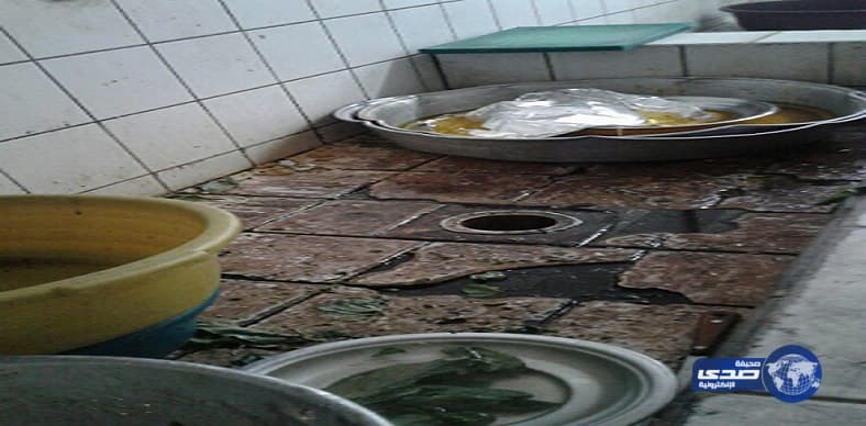 الحشرات والصراصير تغلق مطعم في نجران