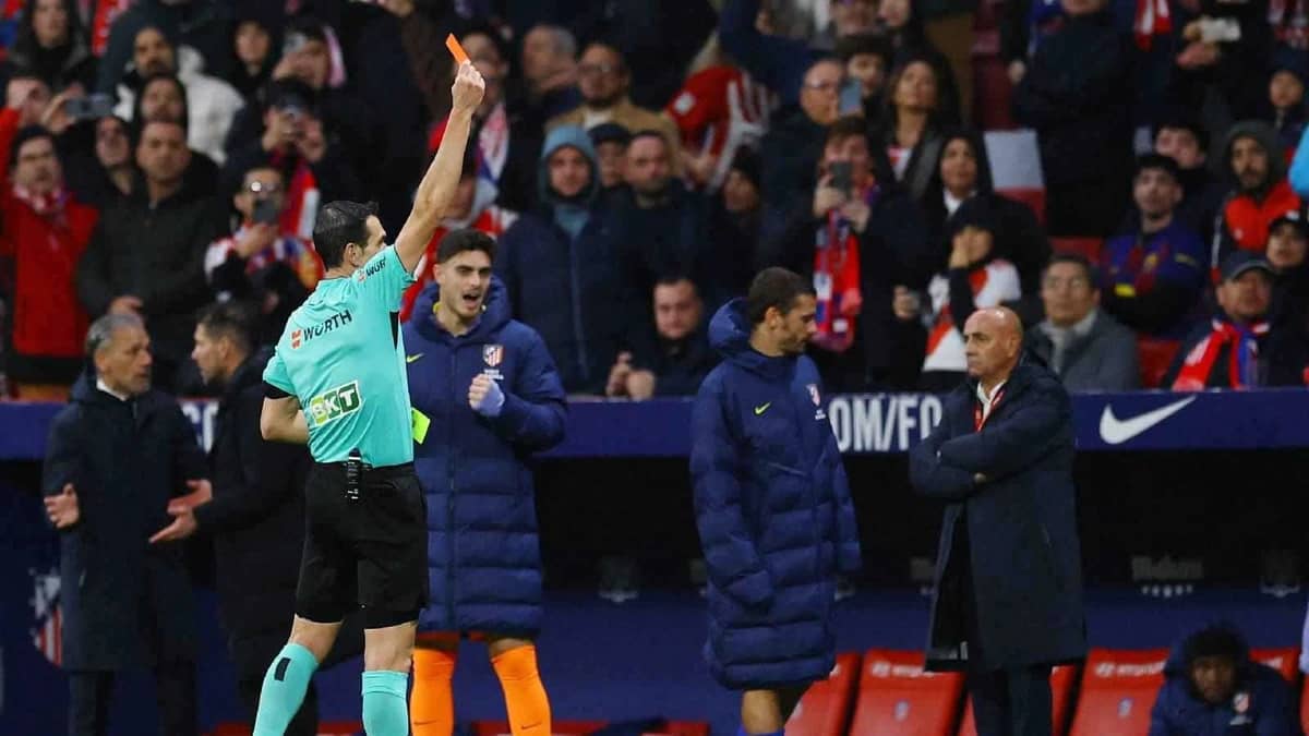 WhatsApp Image 2026-02-13 at 3.47.49 PM.jpeg